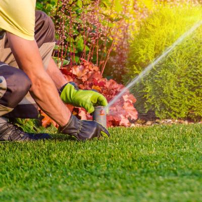 IRRIGATION SYSTEM SERVICE