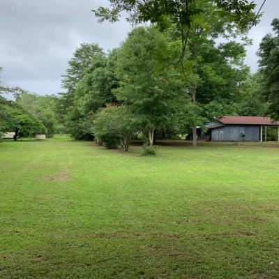 LAWN MAINTENANCE